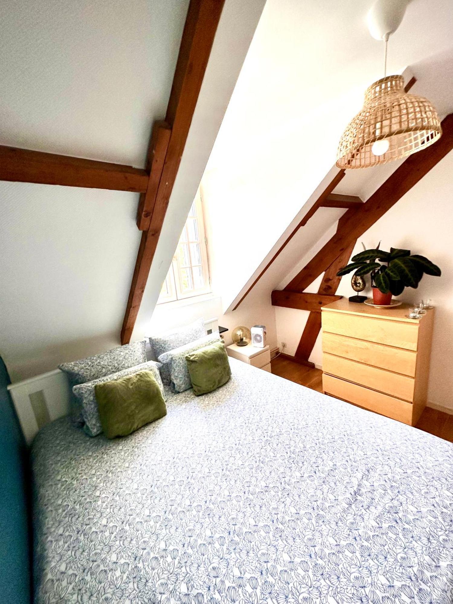 Family Oasis With 3 Bedrooms Near Paris Chennevières-sur-Marne Εξωτερικό φωτογραφία